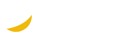 BscScan-logo-light